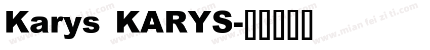Karys KARYS字体转换